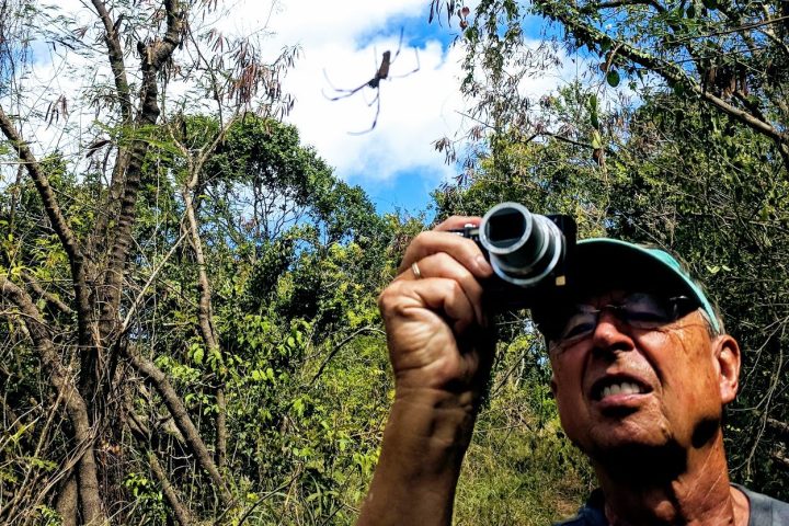 A man taking a photo of a spider