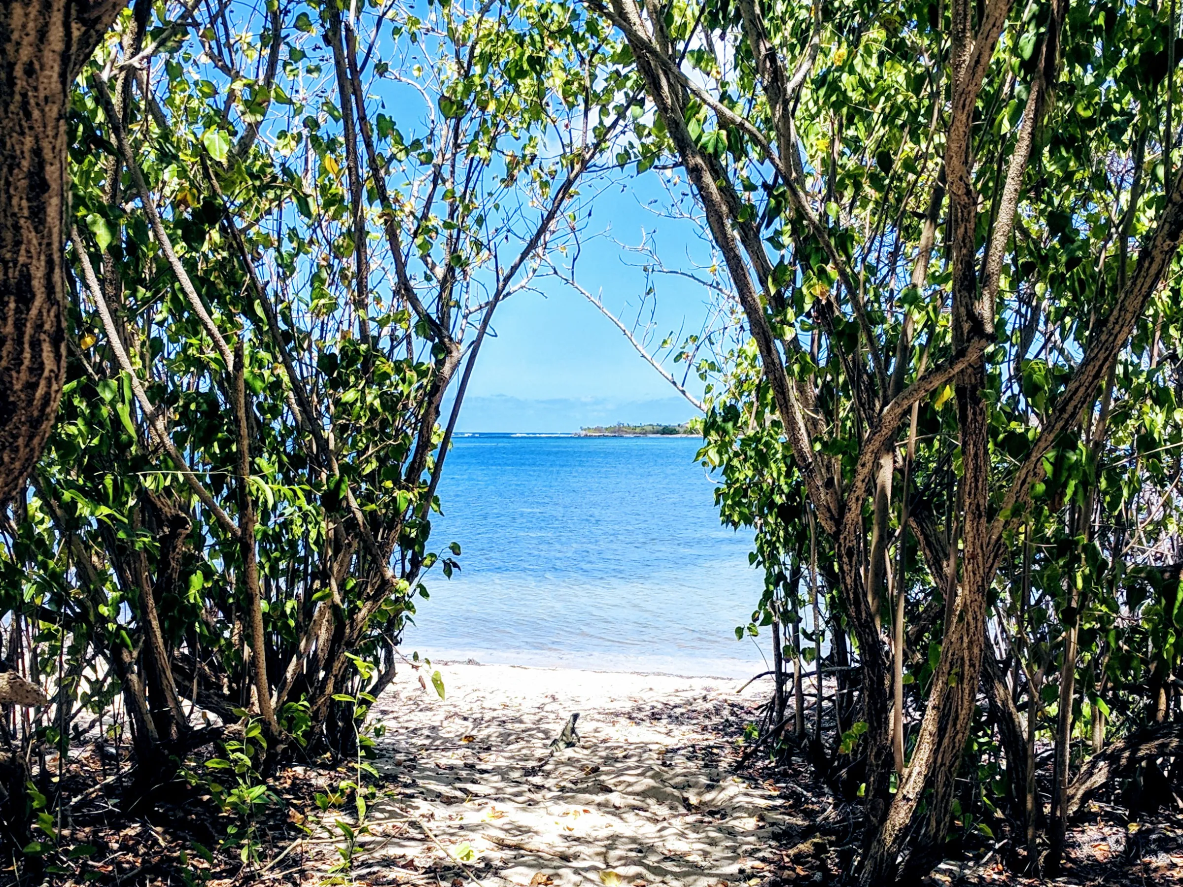Pathway to the ocean