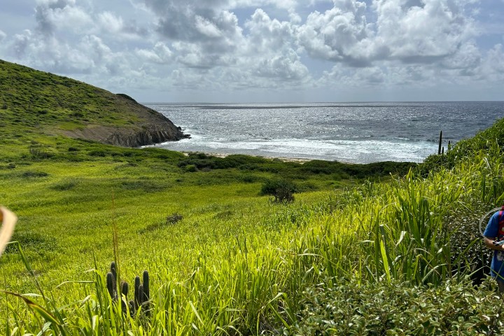a group of people that are standing in the grass near water